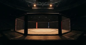 MMA Wetten online 2026: Anbieter, Regeln, Quoten